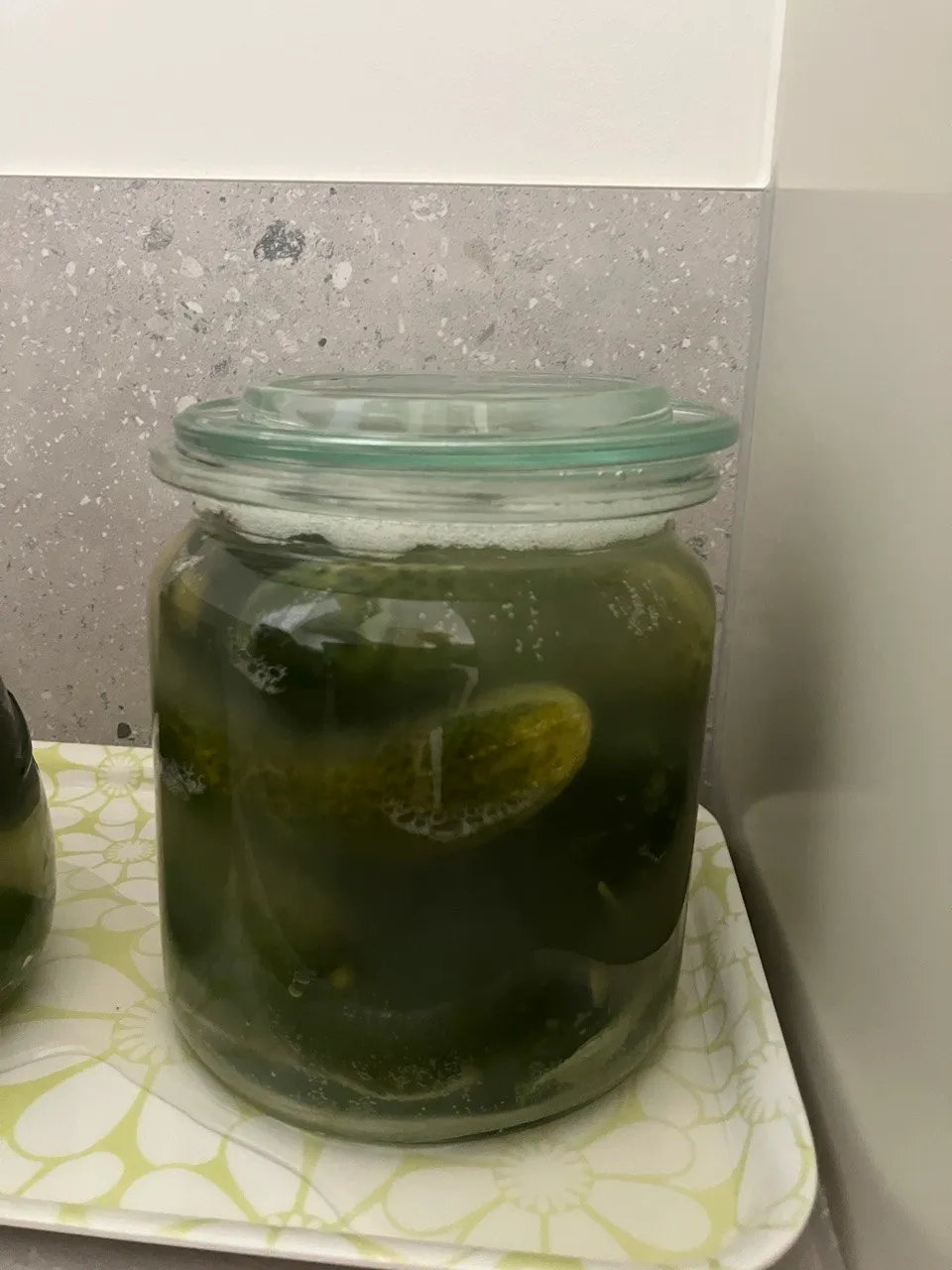 Suolakurkut fermentoimalla