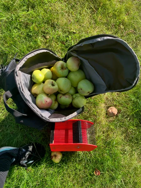 Omenat ja päärynät - Project Preview