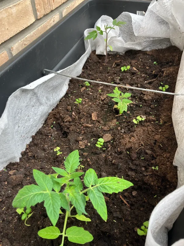 Design process illustration